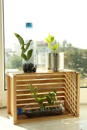 Photo of Recycling concept. Metal can, plastic bottles and wooden crate with plants on windowsill