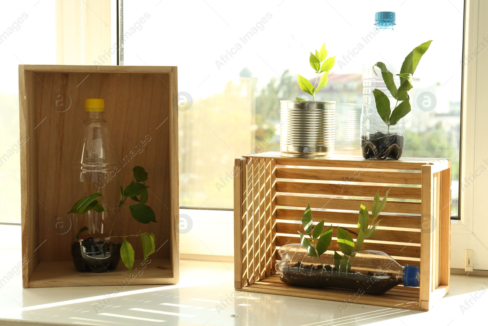 Photo of Recycling concept. Metal can, plastic bottles and wooden crates with plants on windowsill