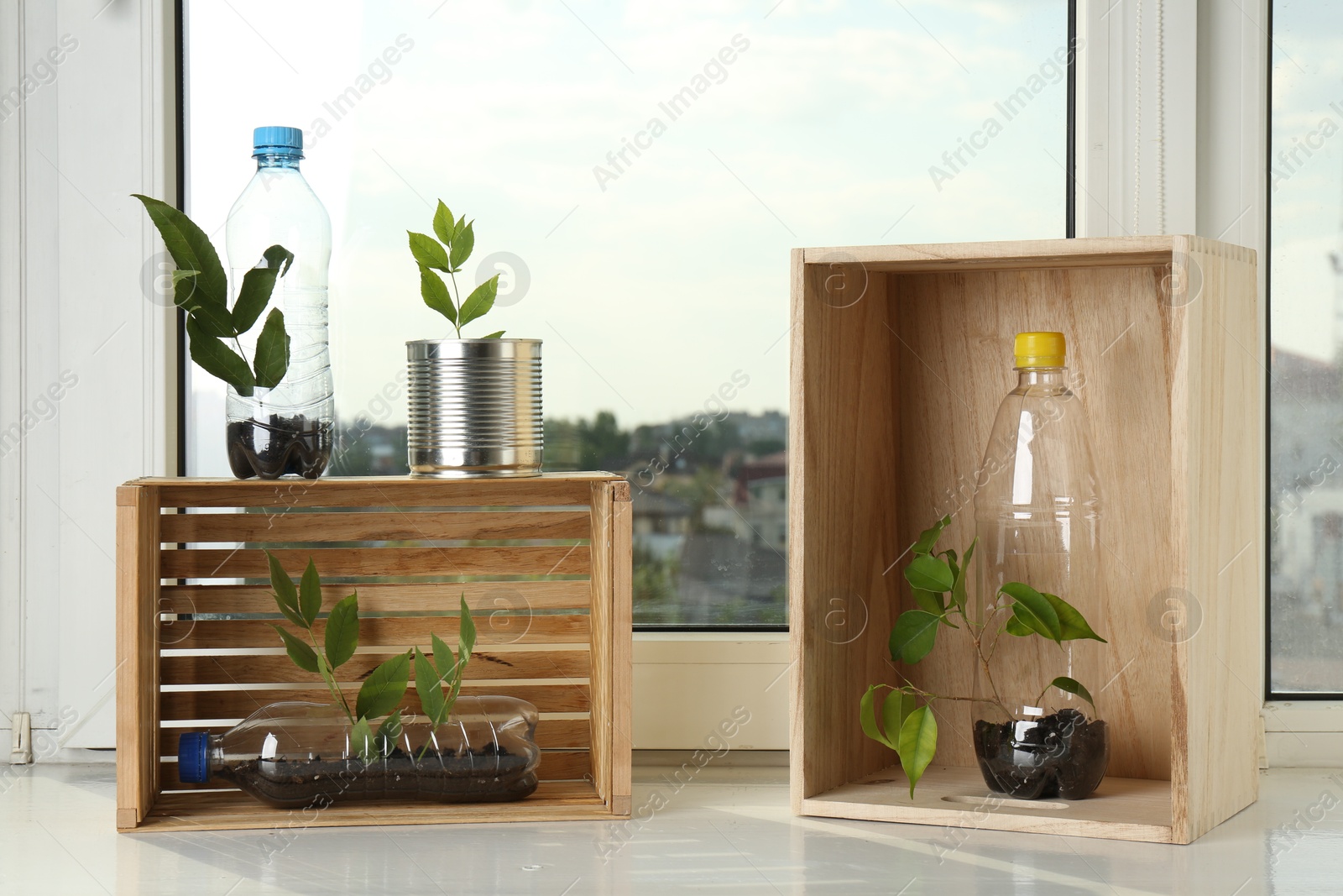 Photo of Recycling concept. Metal can, plastic bottles and wooden crates with plants on windowsill