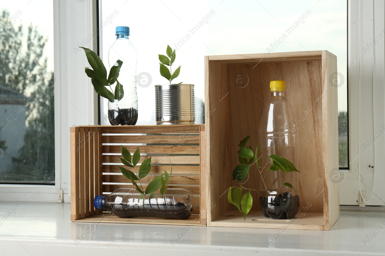 Photo of Recycling concept. Metal can, plastic bottles and wooden crates with plants on windowsill