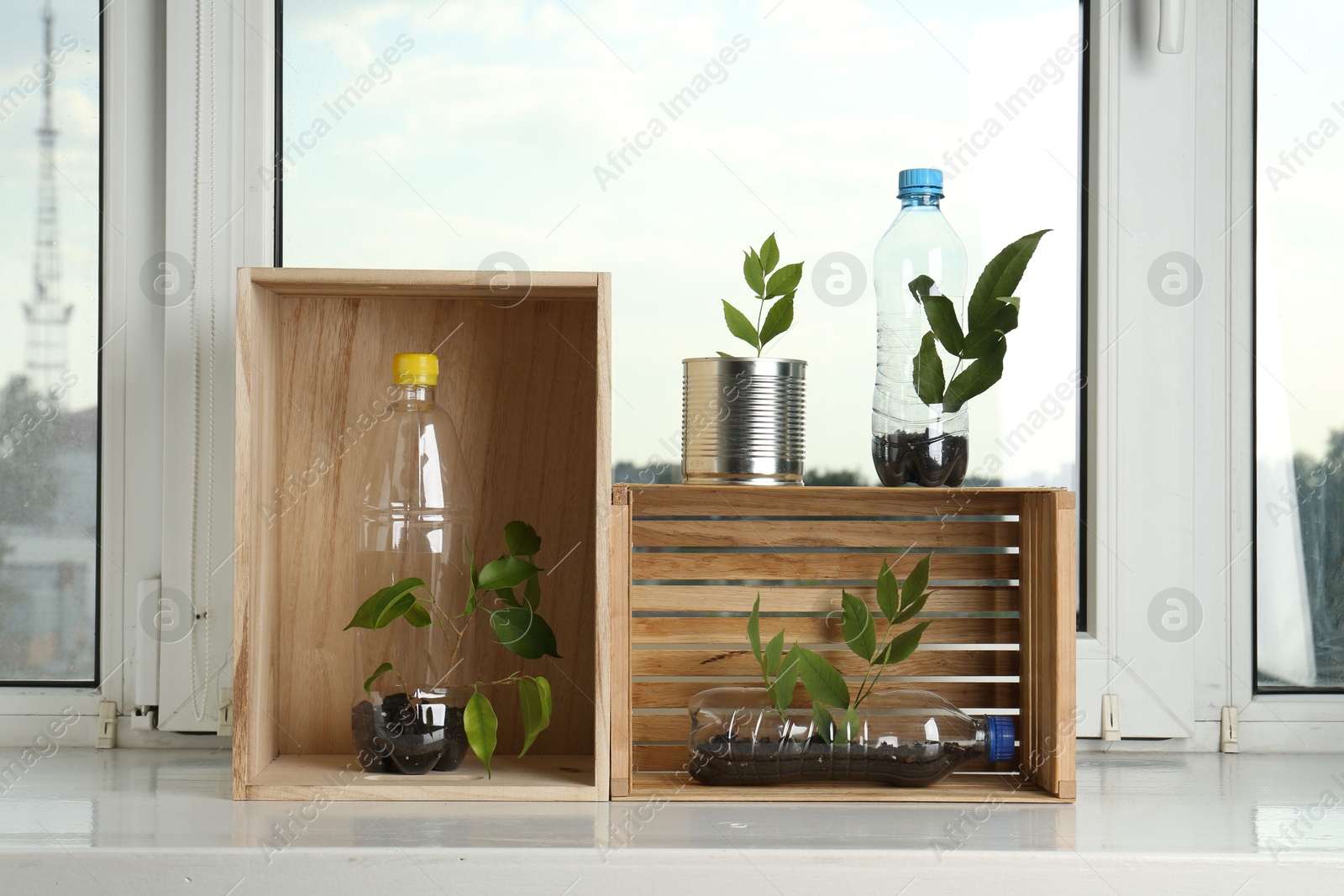 Photo of Recycling concept. Metal can, plastic bottles and wooden crates with plants on windowsill