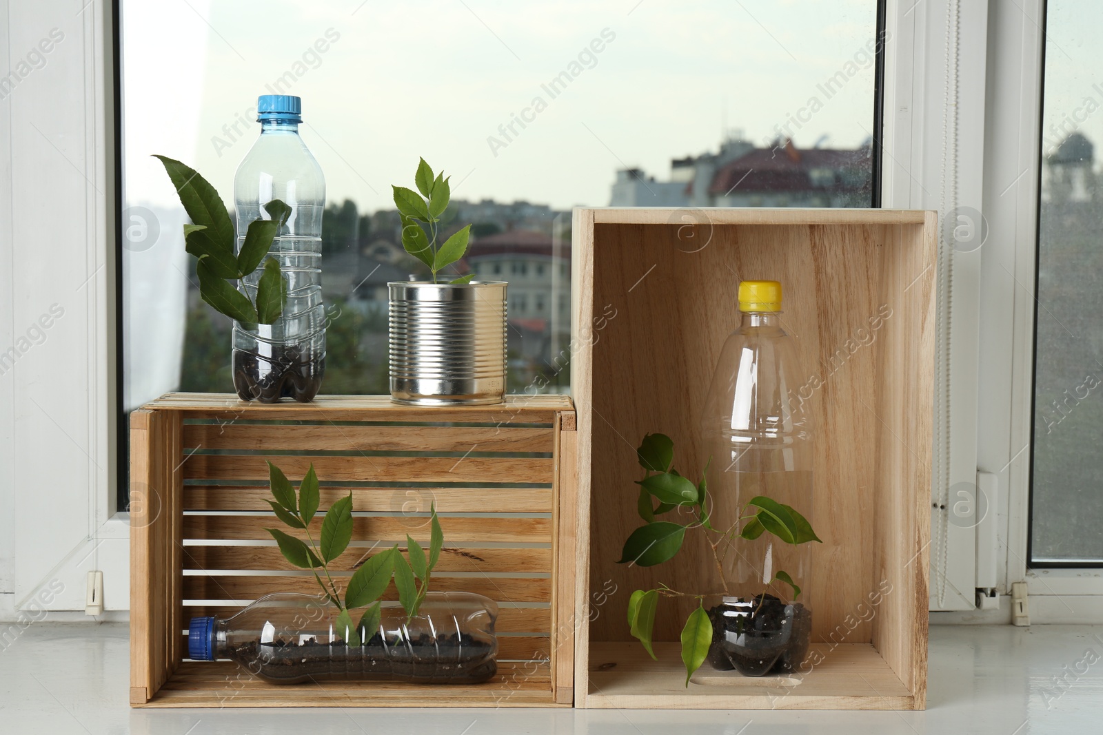 Photo of Recycling concept. Metal can, plastic bottles and wooden crates with plants on windowsill