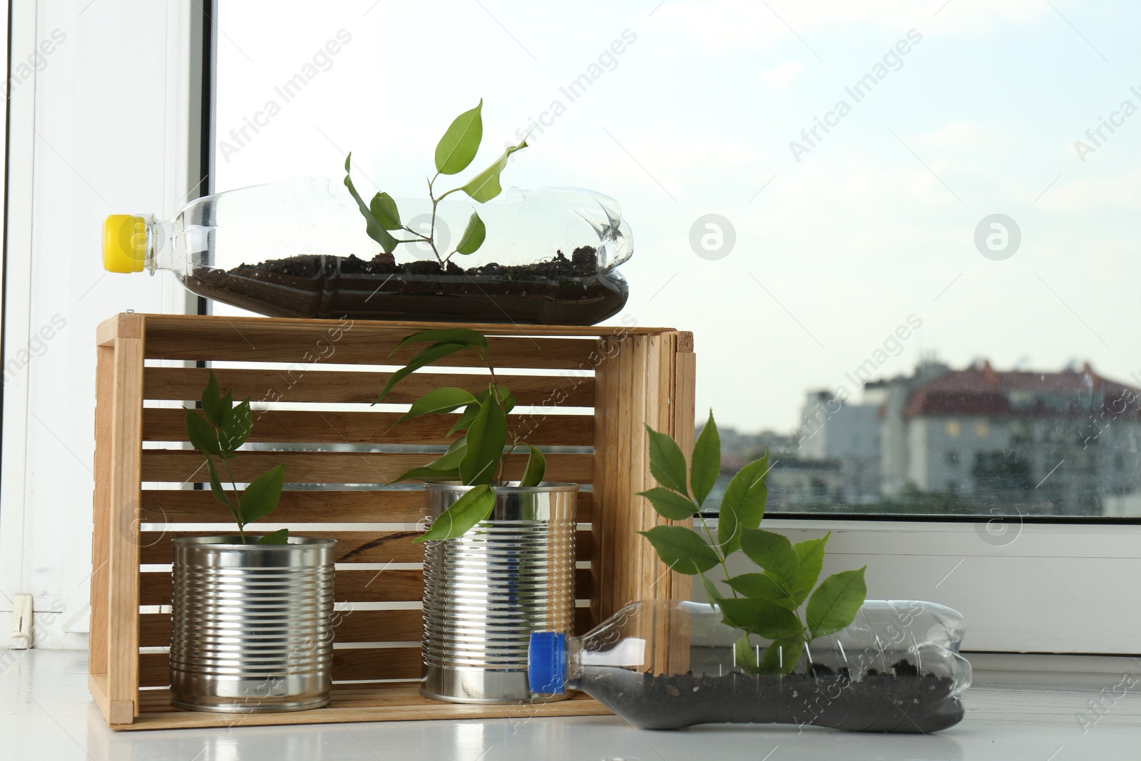 Photo of Recycling concept. Metal cans, plastic bottles and wooden crate with plants on windowsill