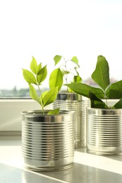 Photo of Recycling concept. Metal cans with plants on windowsill