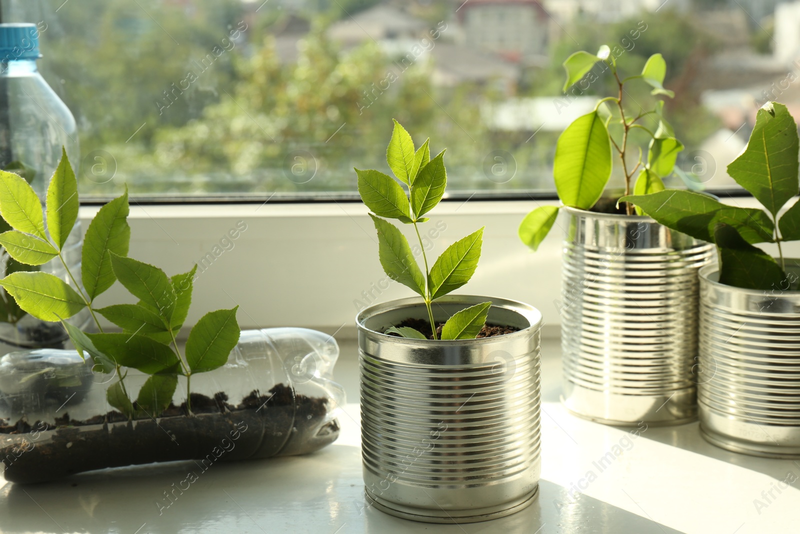 Photo of Recycling concept. Metal cans and plastic bottles with plants on windowsill