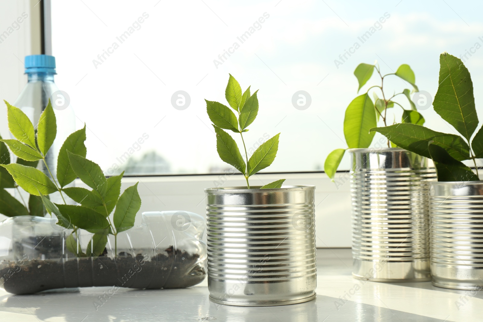 Photo of Recycling concept. Metal cans and plastic bottles with plants on windowsill