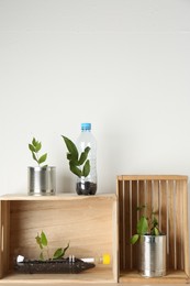 Photo of Recycling concept. Metal cans and plastic bottles with plants on wooden table