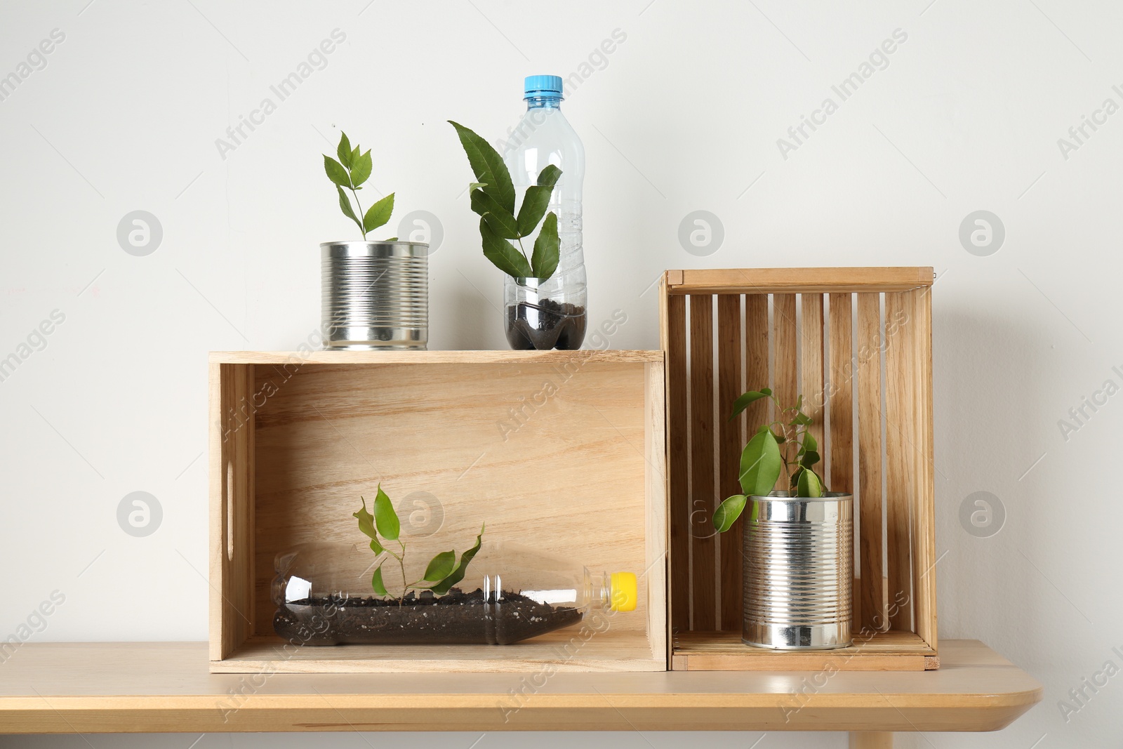 Photo of Recycling concept. Metal cans and plastic bottles with plants on wooden table