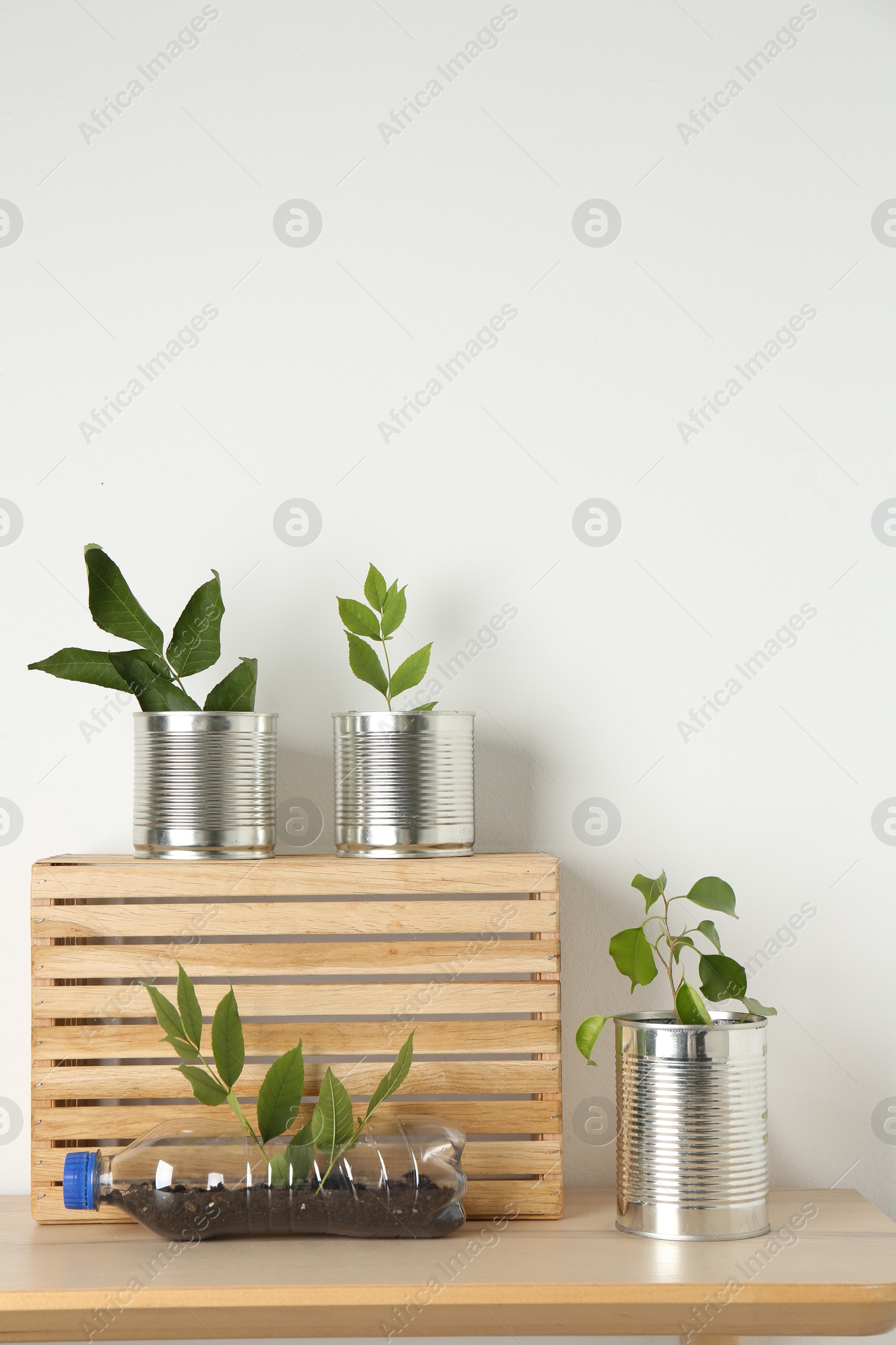 Photo of Recycling concept. Metal cans and plastic bottle with plants on wooden table