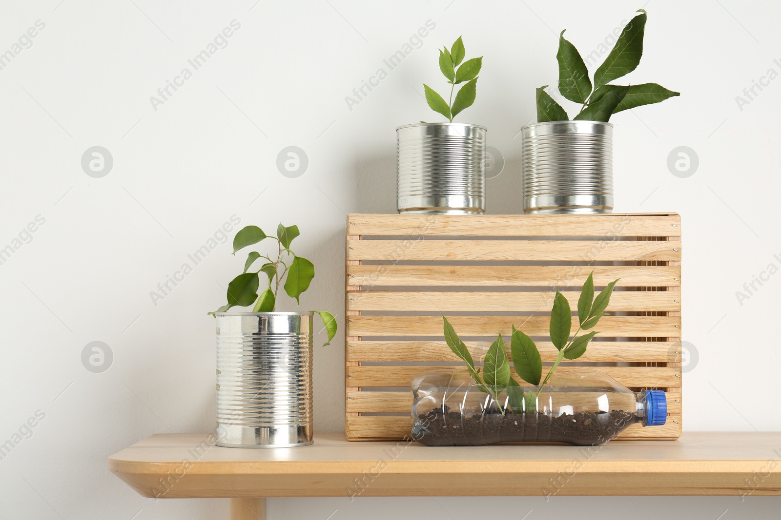 Photo of Recycling concept. Metal cans and plastic bottle with plants on wooden table