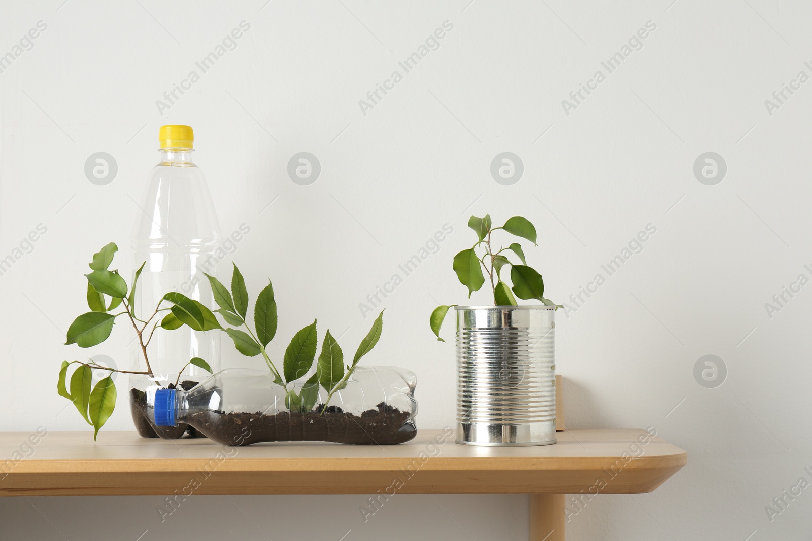 Photo of Recycling concept. Metal can and plastic bottles with plants on wooden table