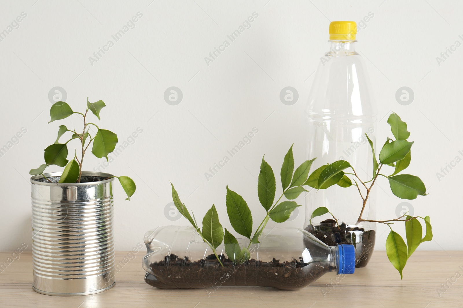 Photo of Recycling concept. Metal can and plastic bottles with plants on wooden table