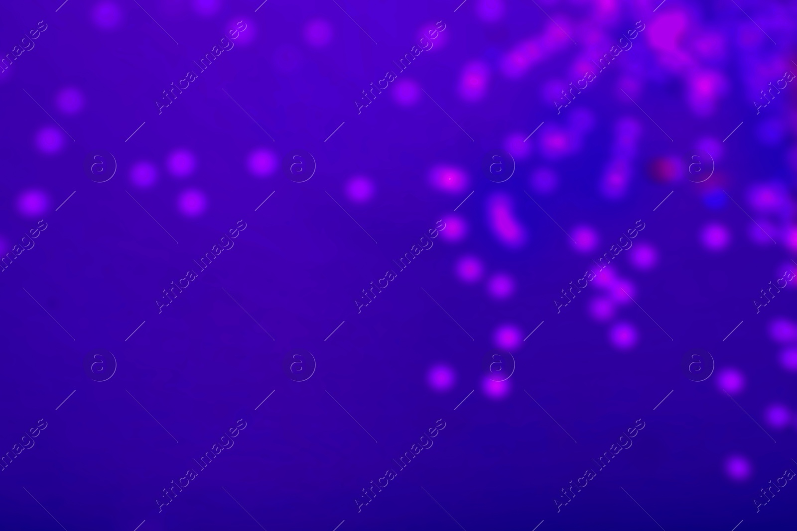 Image of Violet blurred lights on blue gradient backdrop, bokeh effect. Halloween background