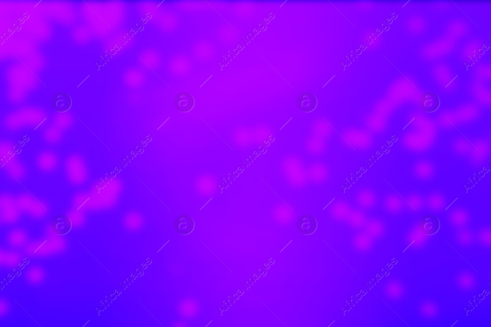 Image of Pink blurred lights on violet blue gradient backdrop, bokeh effect. Halloween background