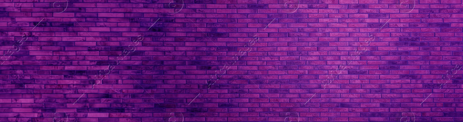 Image of Violet purple brick wall, banner design. Halloween background