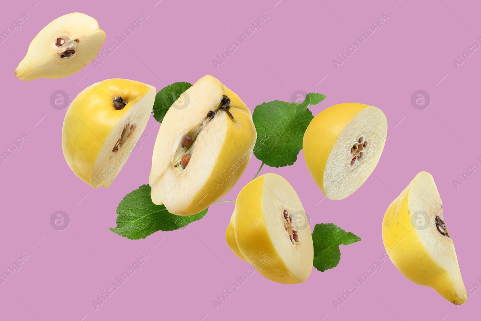 Image of Pieces of fresh quinces and green leaves flying on lilac background