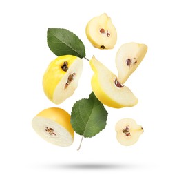 Image of Pieces of fresh quinces and green leaves falling on white background