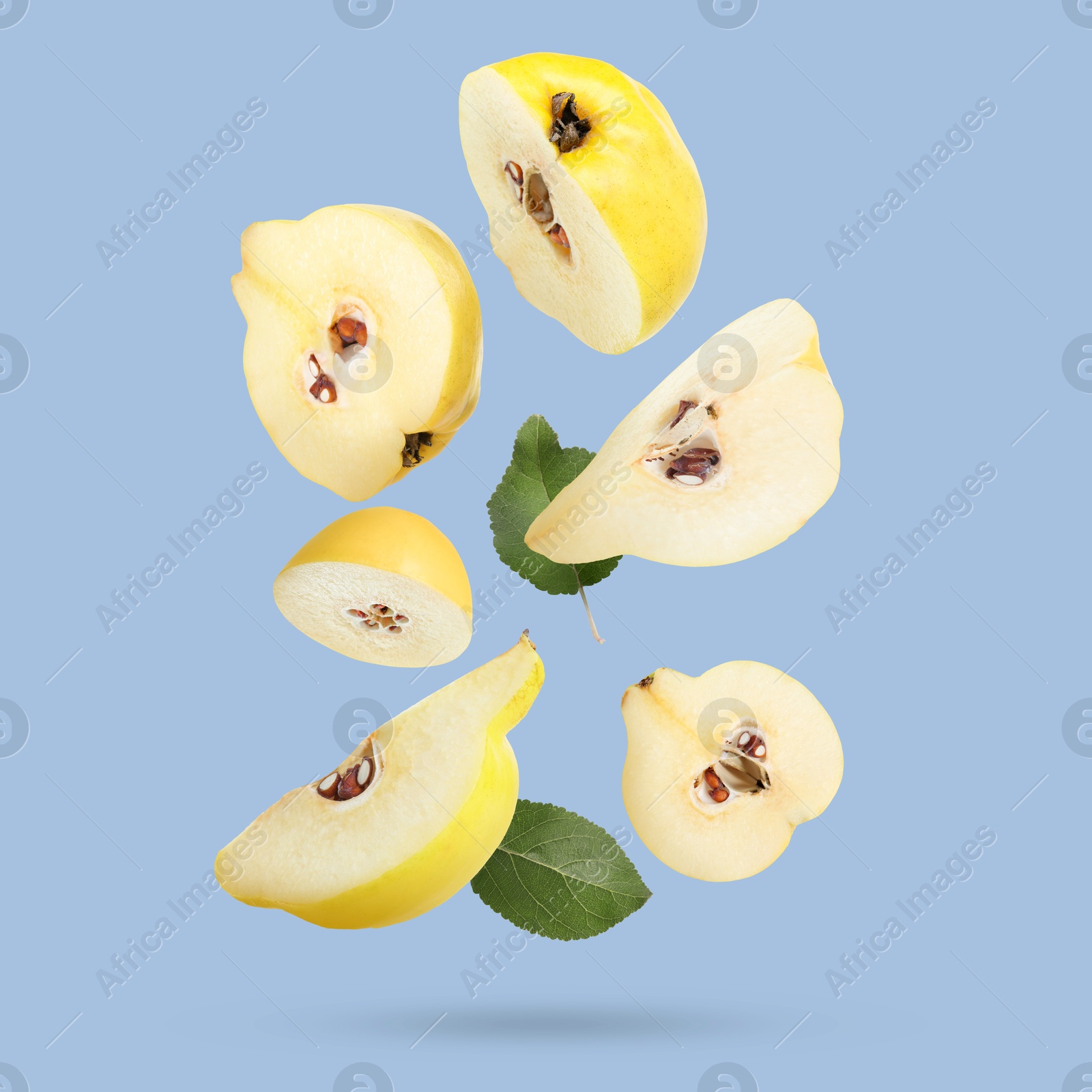 Image of Pieces of fresh quinces and green leaves falling on light blue background