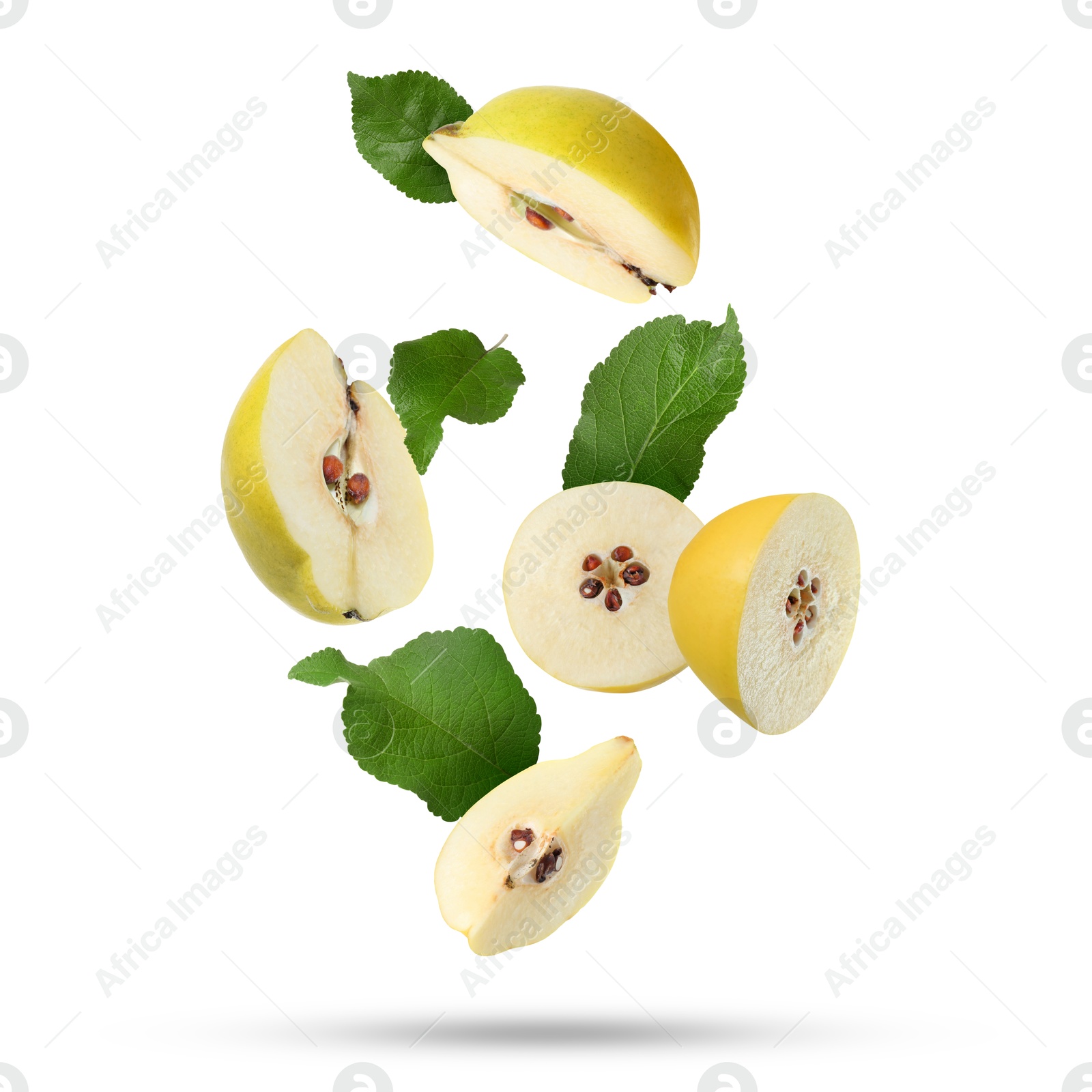 Image of Pieces of fresh quinces and green leaves falling on white background