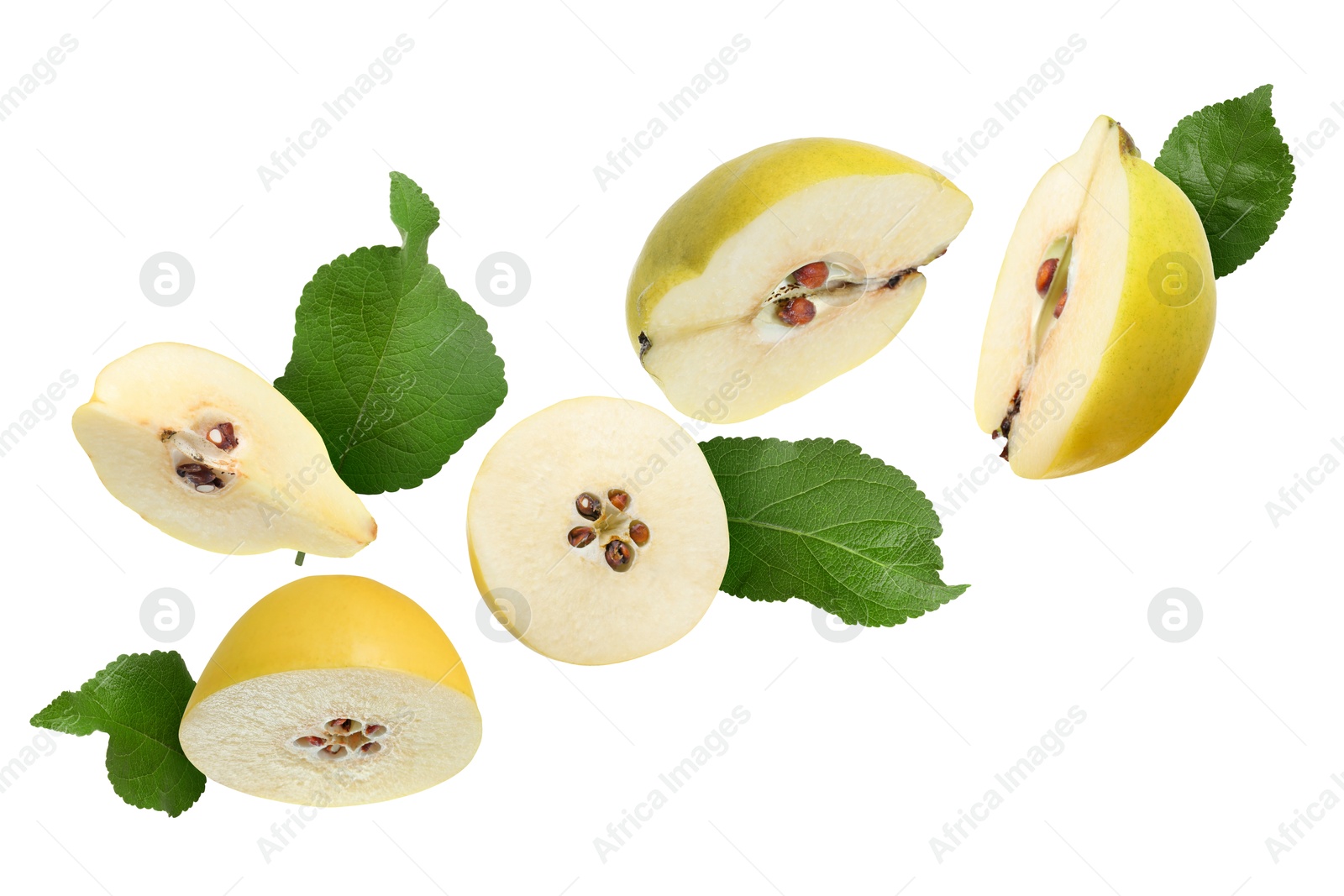 Image of Pieces of fresh quinces and green leaves flying on white background