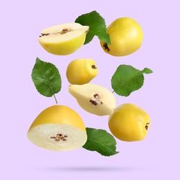 Image of Fresh quinces and green leaves falling on light lilac background