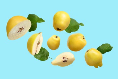 Image of Fresh quinces and green leaves flying on light blue background