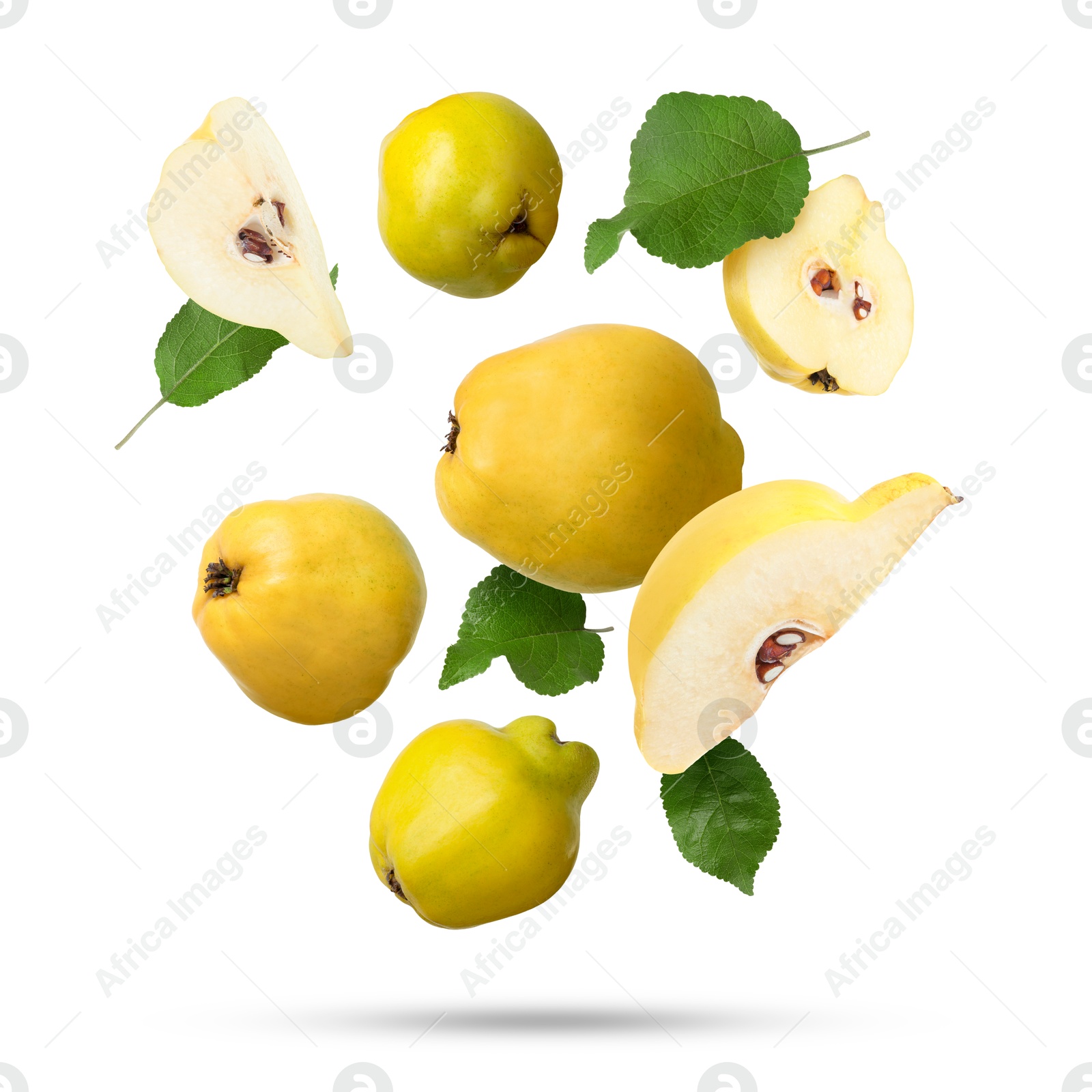 Image of Fresh quinces and green leaves falling on white background