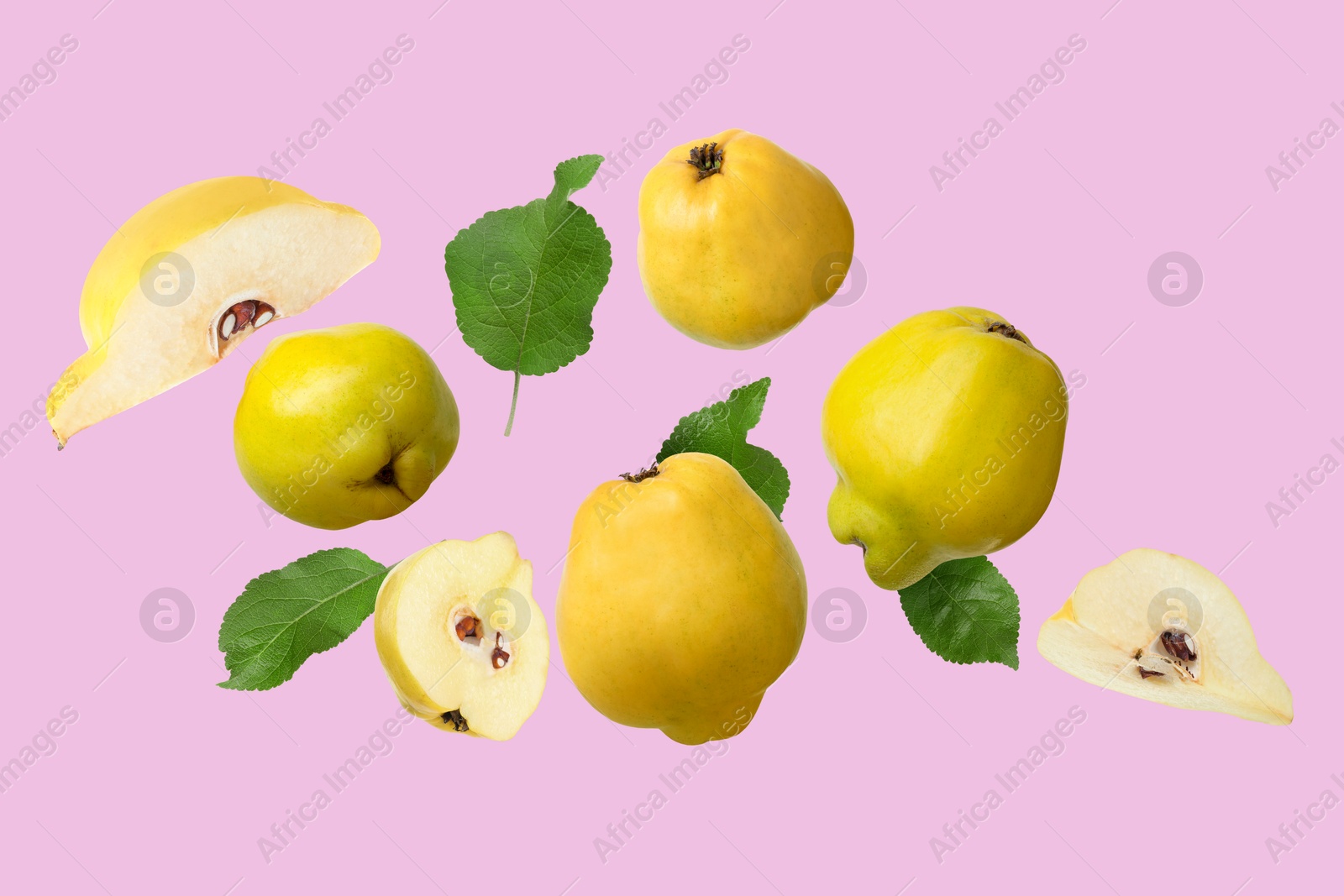 Image of Fresh quinces and green leaves flying on lilac background