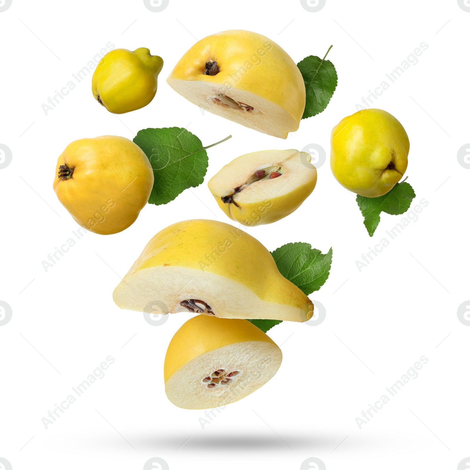 Image of Fresh quinces and green leaves falling on white background