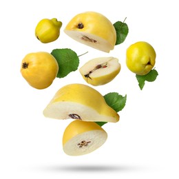 Image of Fresh quinces and green leaves falling on white background