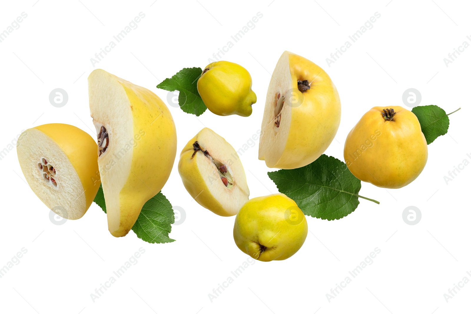 Image of Fresh quinces and green leaves flying on white background