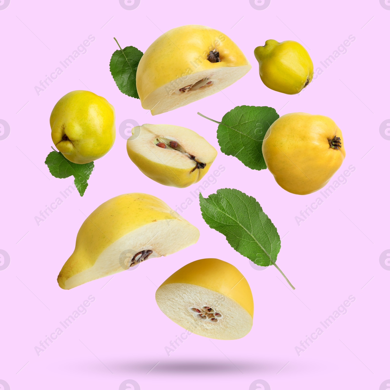 Image of Fresh quinces and green leaves falling on lilac background