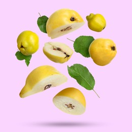 Image of Fresh quinces and green leaves falling on lilac background