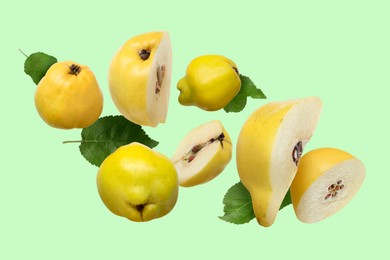 Image of Fresh quinces and leaves flying on light green background