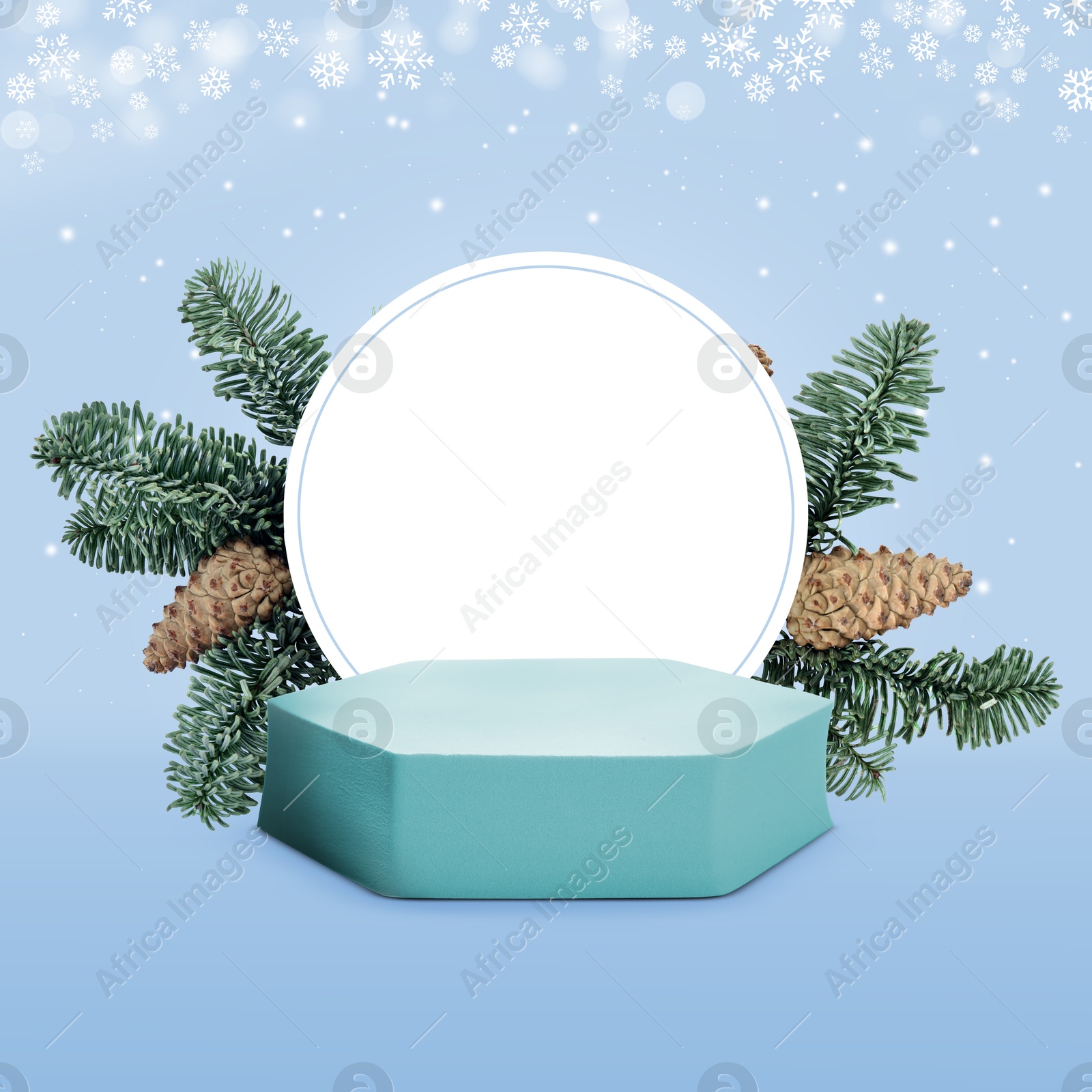 Snowflakes over empty podium with fir tree branches on light blue background. Stage for stylish presentation. New Year poster or sale flyer design Image of Snowflakes over empty podium with fir tree branches on light blue background. Stage for stylish presentation. New Year poster or sale flyer design