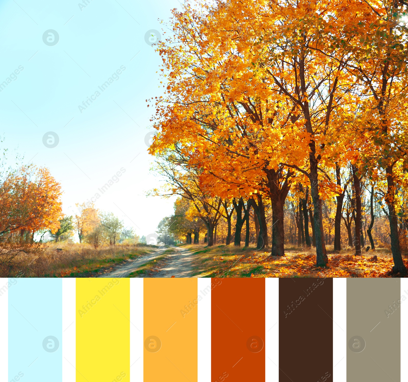 Image of Shades of fall. Beautiful autumn landscape and matching color palette