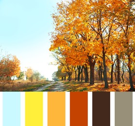 Image of Shades of fall. Beautiful autumn landscape and matching color palette