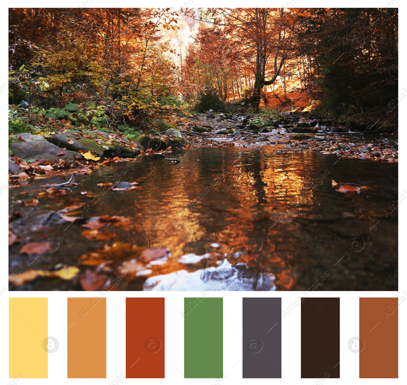 Image of Shades of fall. Beautiful autumn landscape and matching color palette