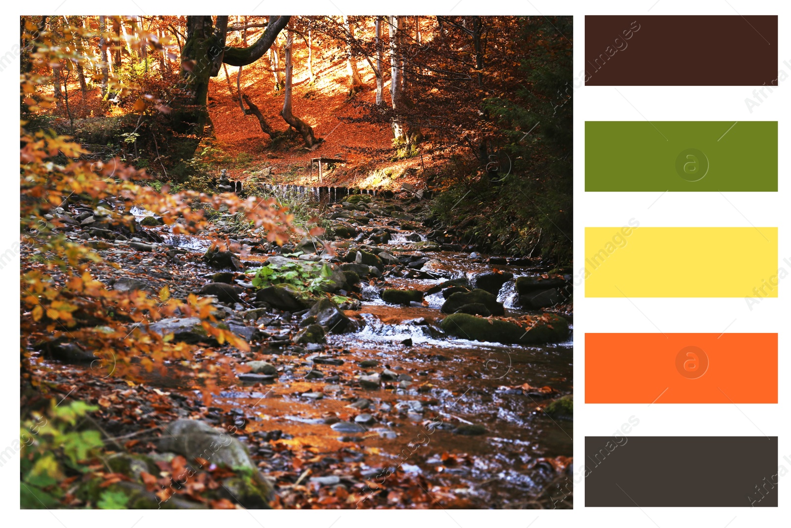 Image of Shades of fall. Beautiful autumn landscape and matching color palette