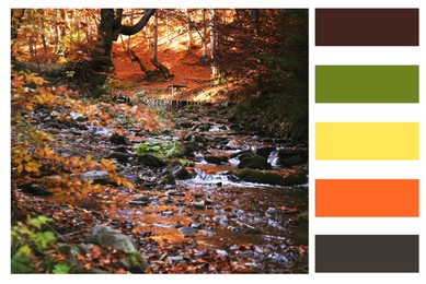 Image of Shades of fall. Beautiful autumn landscape and matching color palette