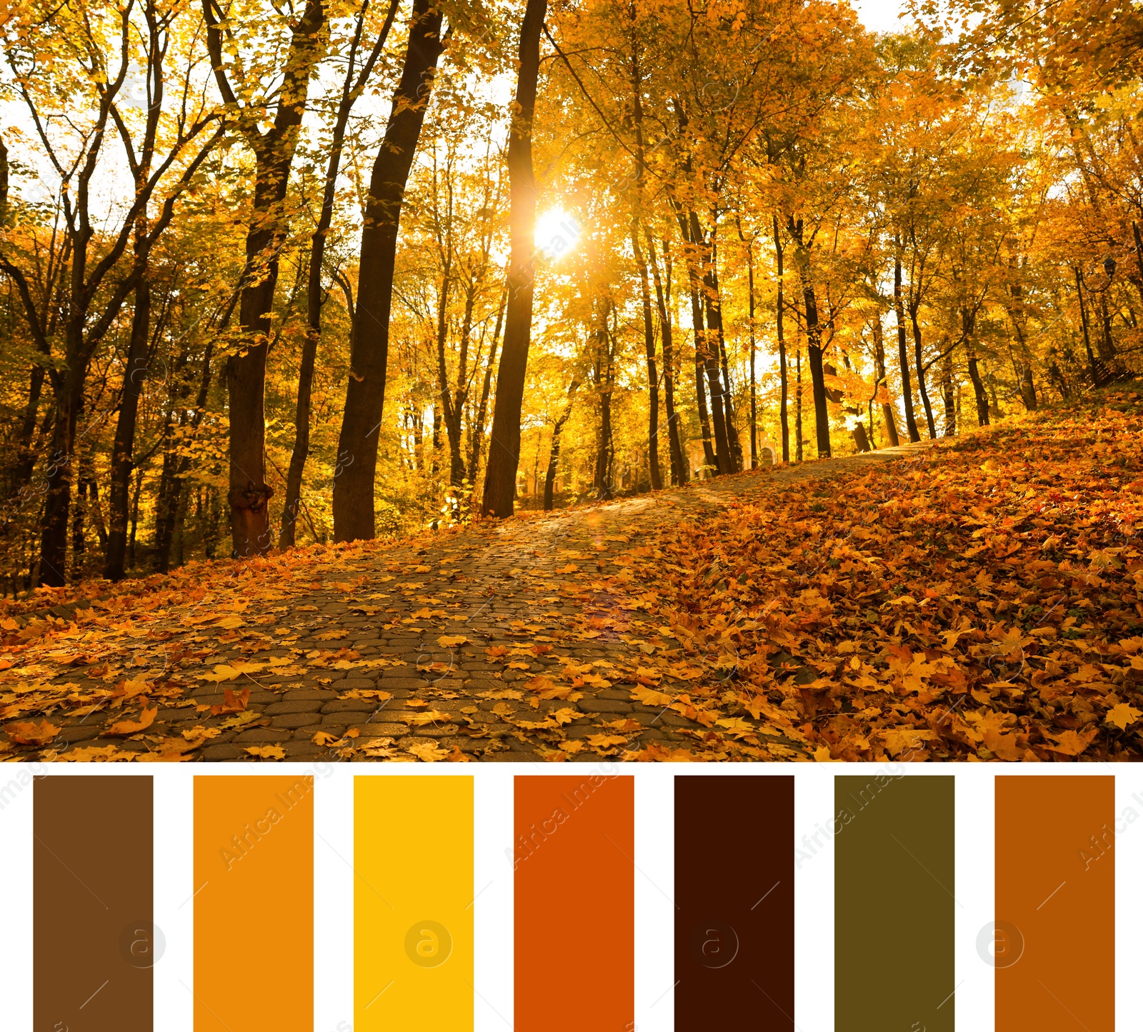 Image of Shades of fall. Beautiful autumn landscape and matching color palette