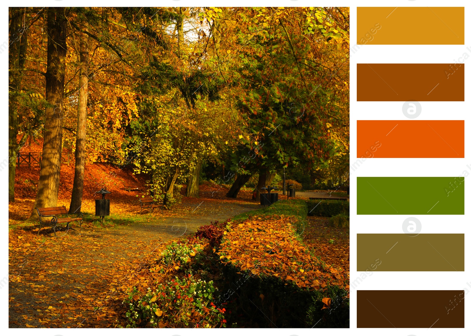 Image of Shades of fall. Beautiful autumn landscape and matching color palette