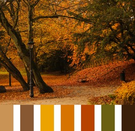 Image of Shades of fall. Beautiful autumn landscape and matching color palette