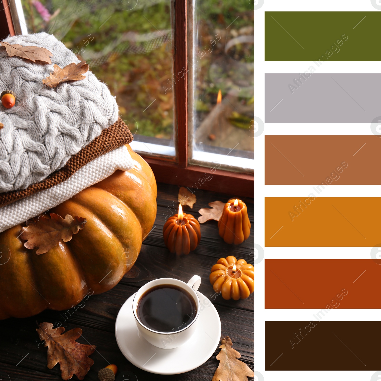 Image of Shades of fall. Picture of autumn decorative composition and cup of coffee on wooden sill and matching color palette