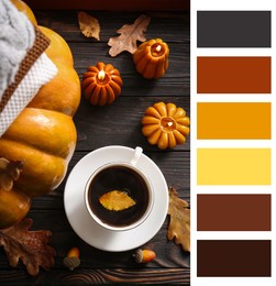 Image of Shades of fall. Picture of autumn decorative composition and cup of coffee on wooden table and matching color palette