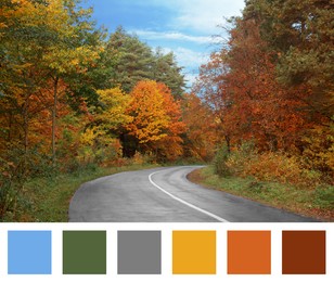 Image of Shades of fall. Beautiful autumn landscape and matching color palette