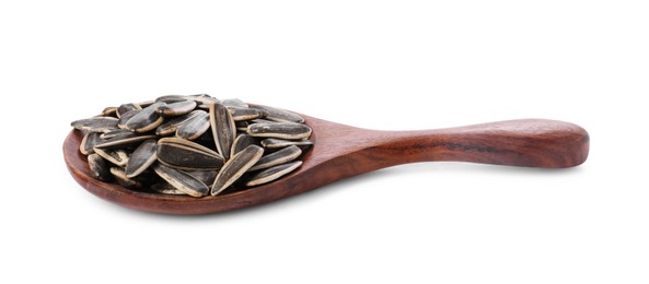 Photo of Sunflower seeds in wooden spoon isolated on white