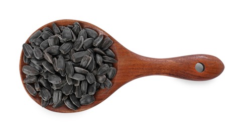 Photo of Sunflower seeds in wooden spoon isolated on white, top view