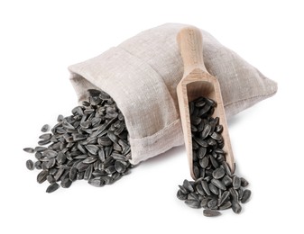 Photo of Sunflower seeds, overturned burlap sack and wooden scoop isolated on white