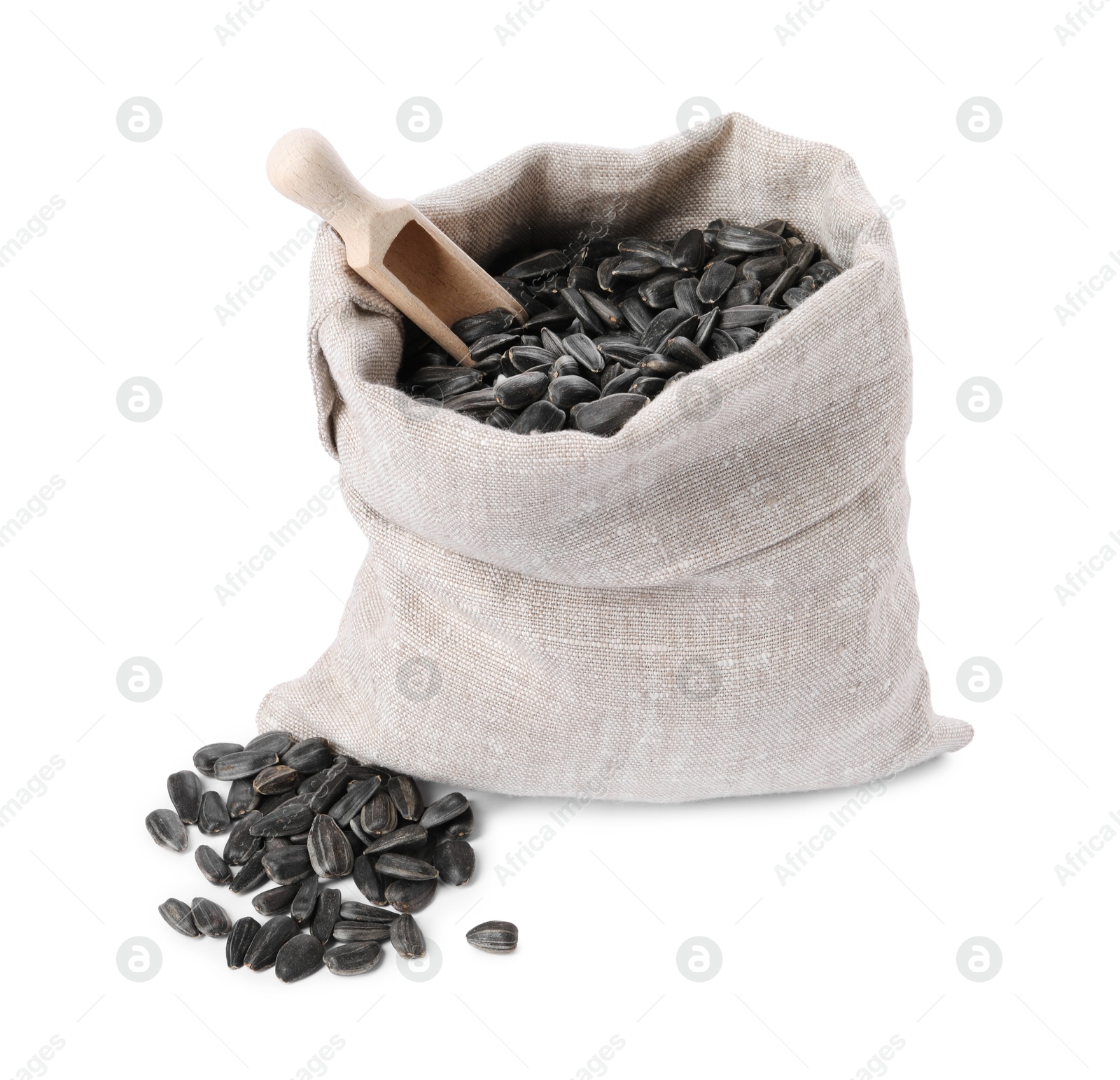 Photo of Sunflower seeds in burlap sack and wooden scoop isolated on white